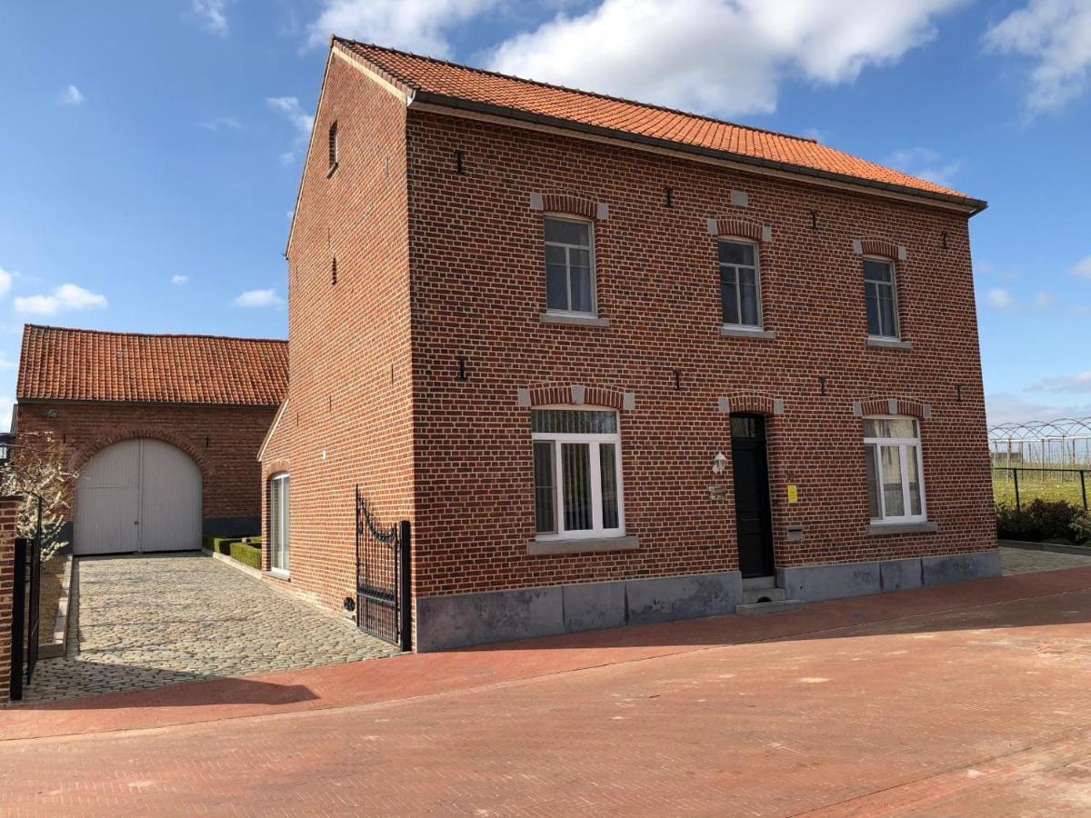 Hoeve De Singel Borgloon Kültér fotó